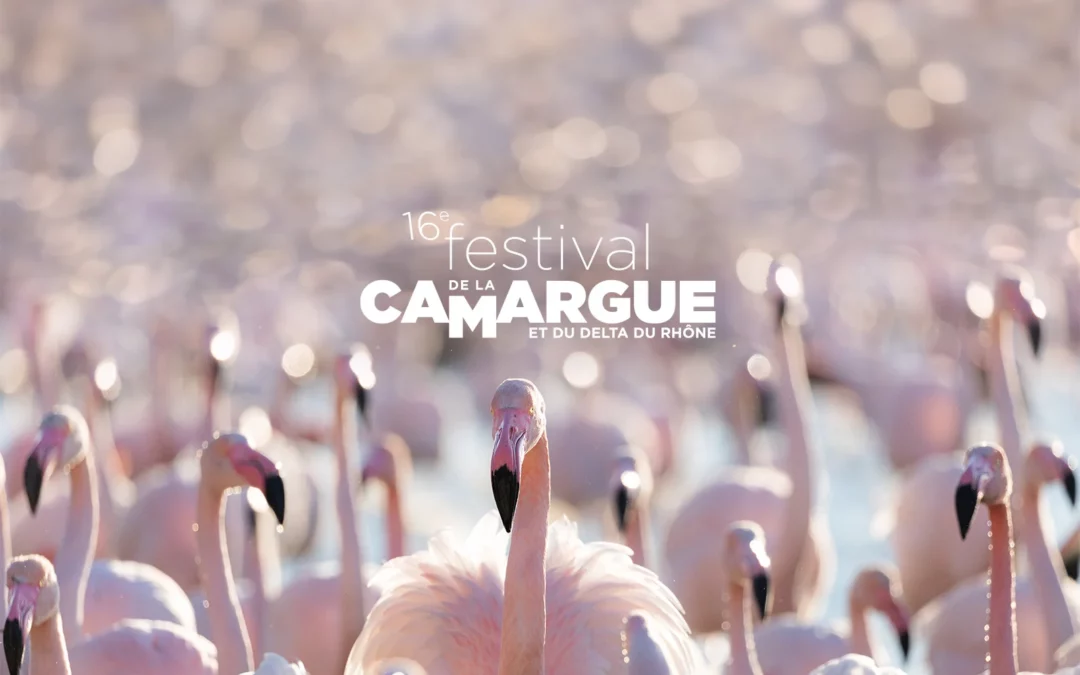 Le Festival de la Camargue et du Delta du Rhône